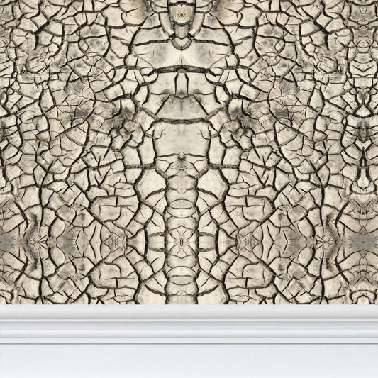 WALLPAPER - CRACKED EARTH