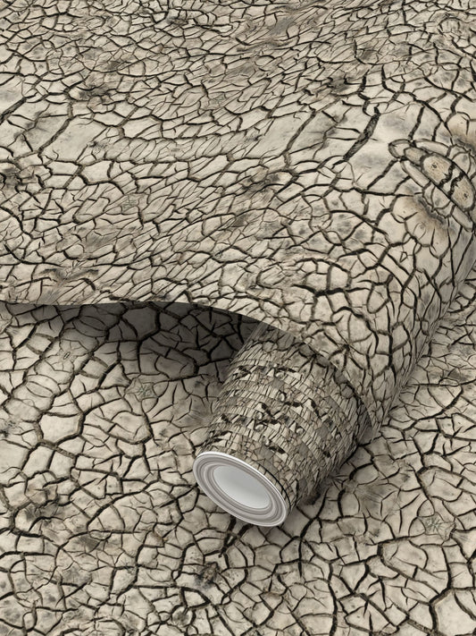 WALLPAPER - CRACKED EARTH