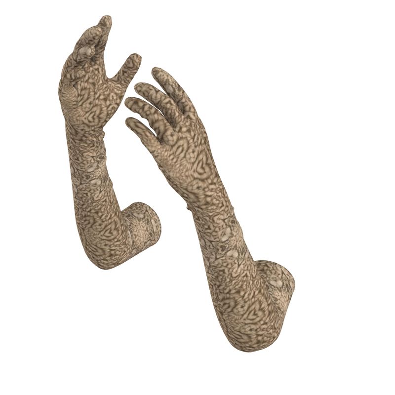 Original Elegant long gloves - Beach