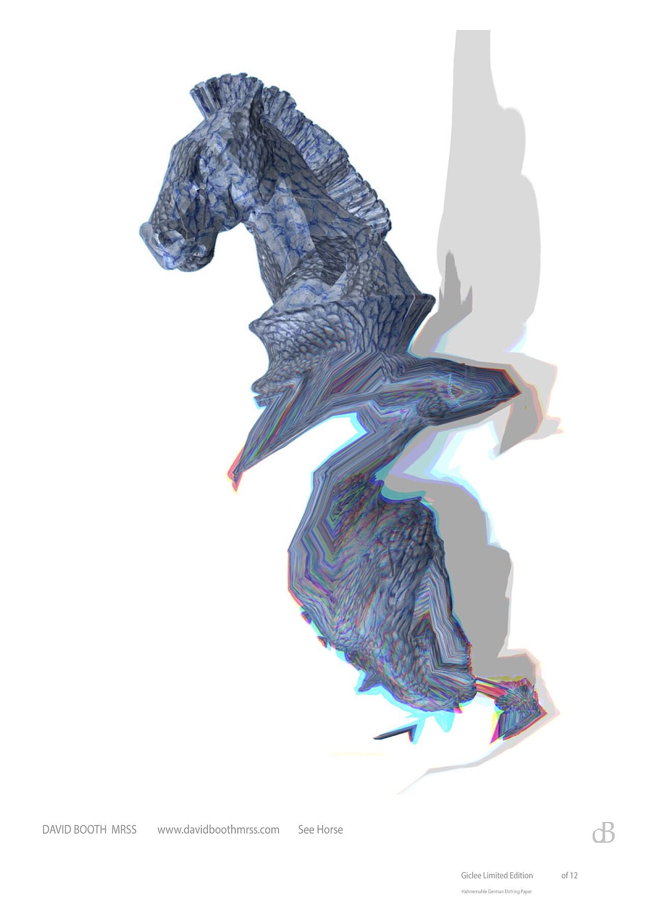 seehorse-01