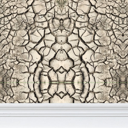 WALLPAPER - EARTH CRACKS