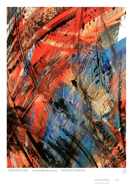 INSTINCTIVE PRINTS-01