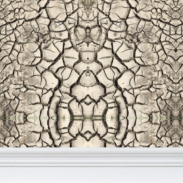 WALLPAPER - EARTH CRACKS